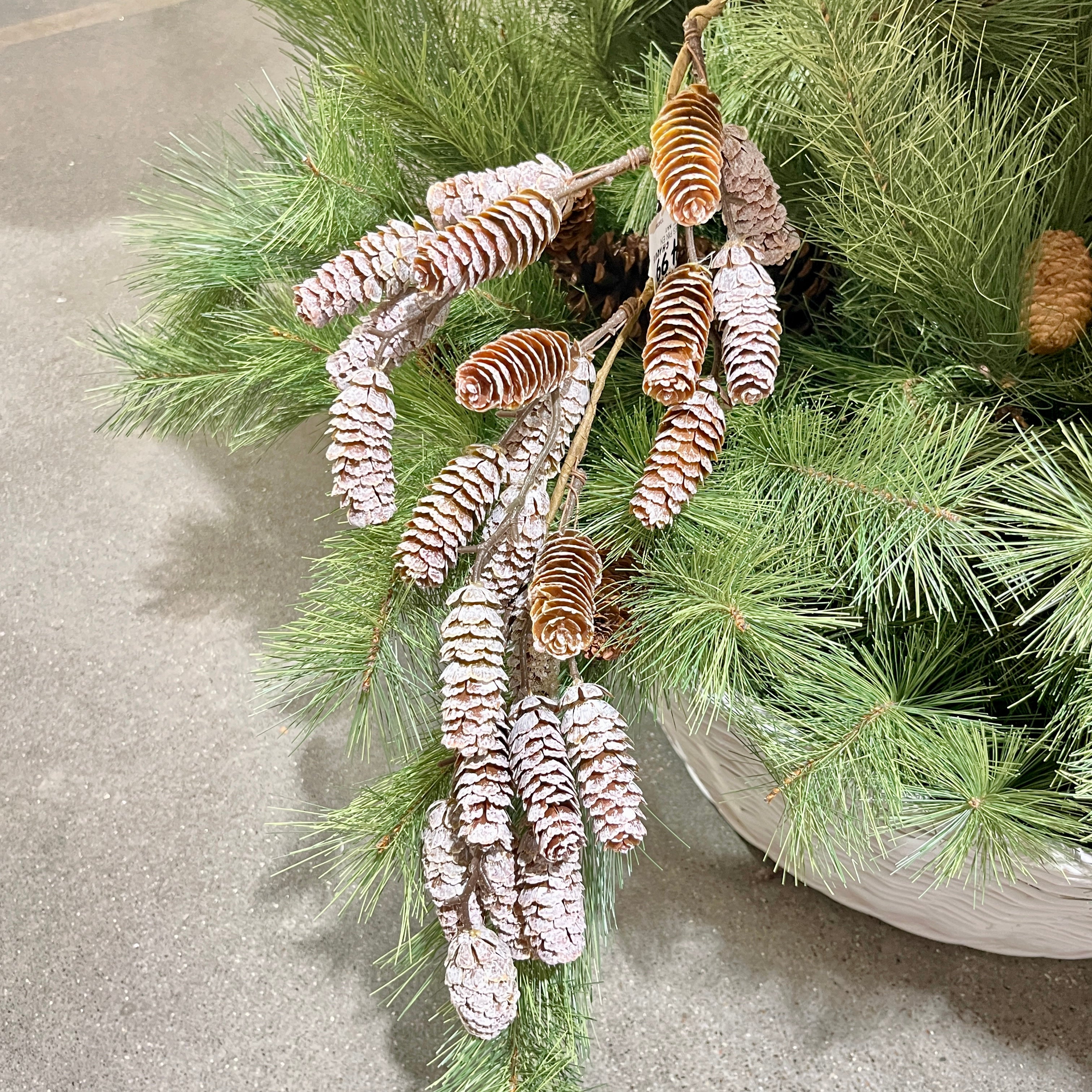 Teardrop Snowy Pine Cones 15" Natural