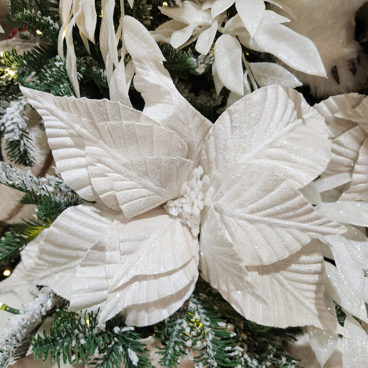 Tige de poinsettia rayé ivoire et blanc 22"