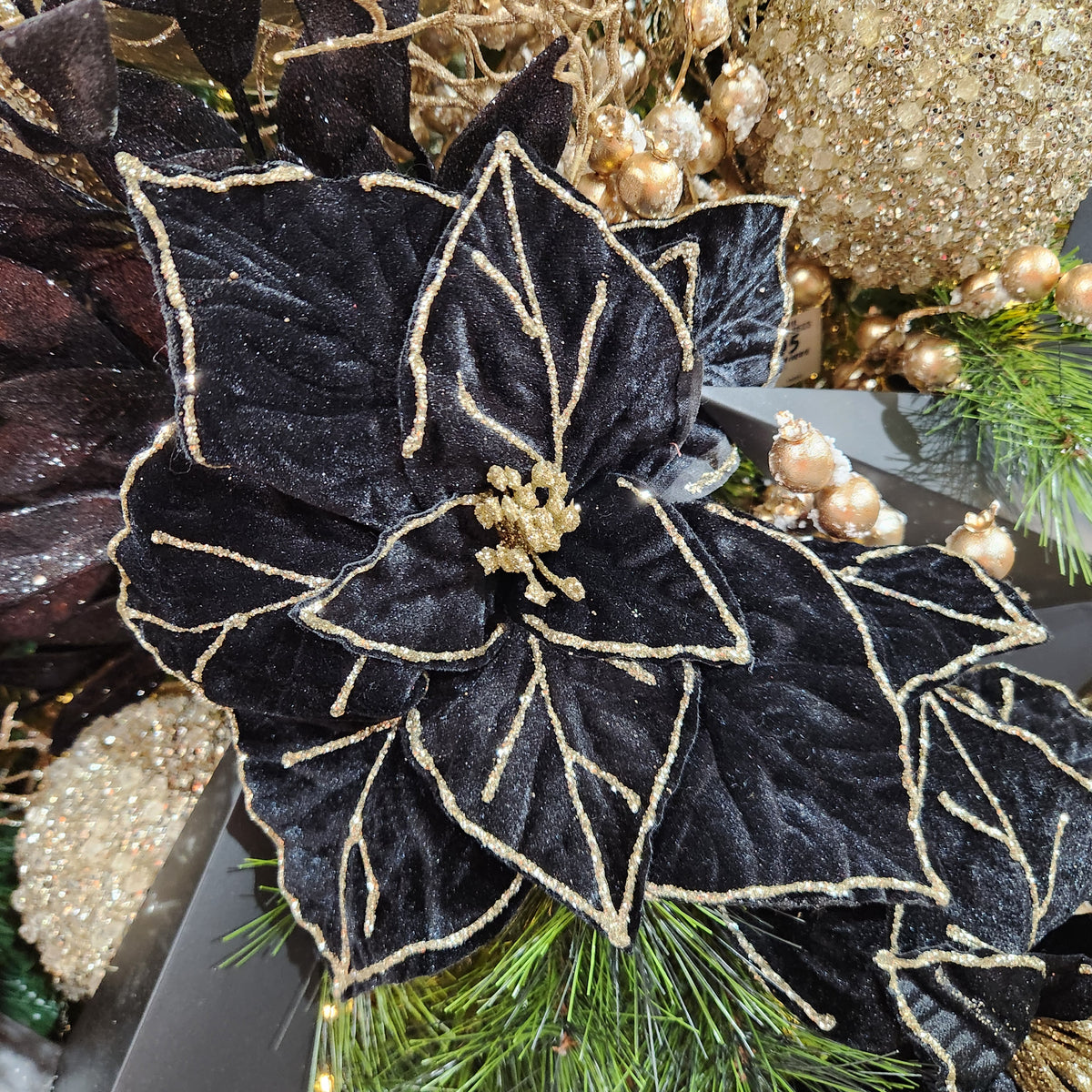 Black Velvet Poinsettia Stem 22"