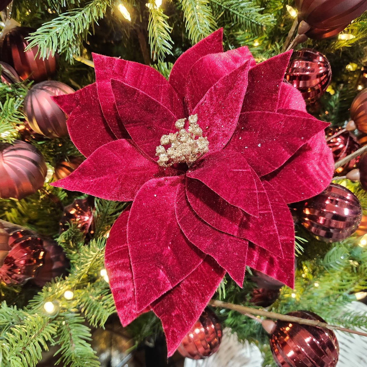 Burgundy poinsettia stem 24"