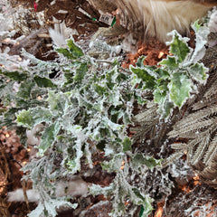 Green and White Snowy Holly Stem 38"