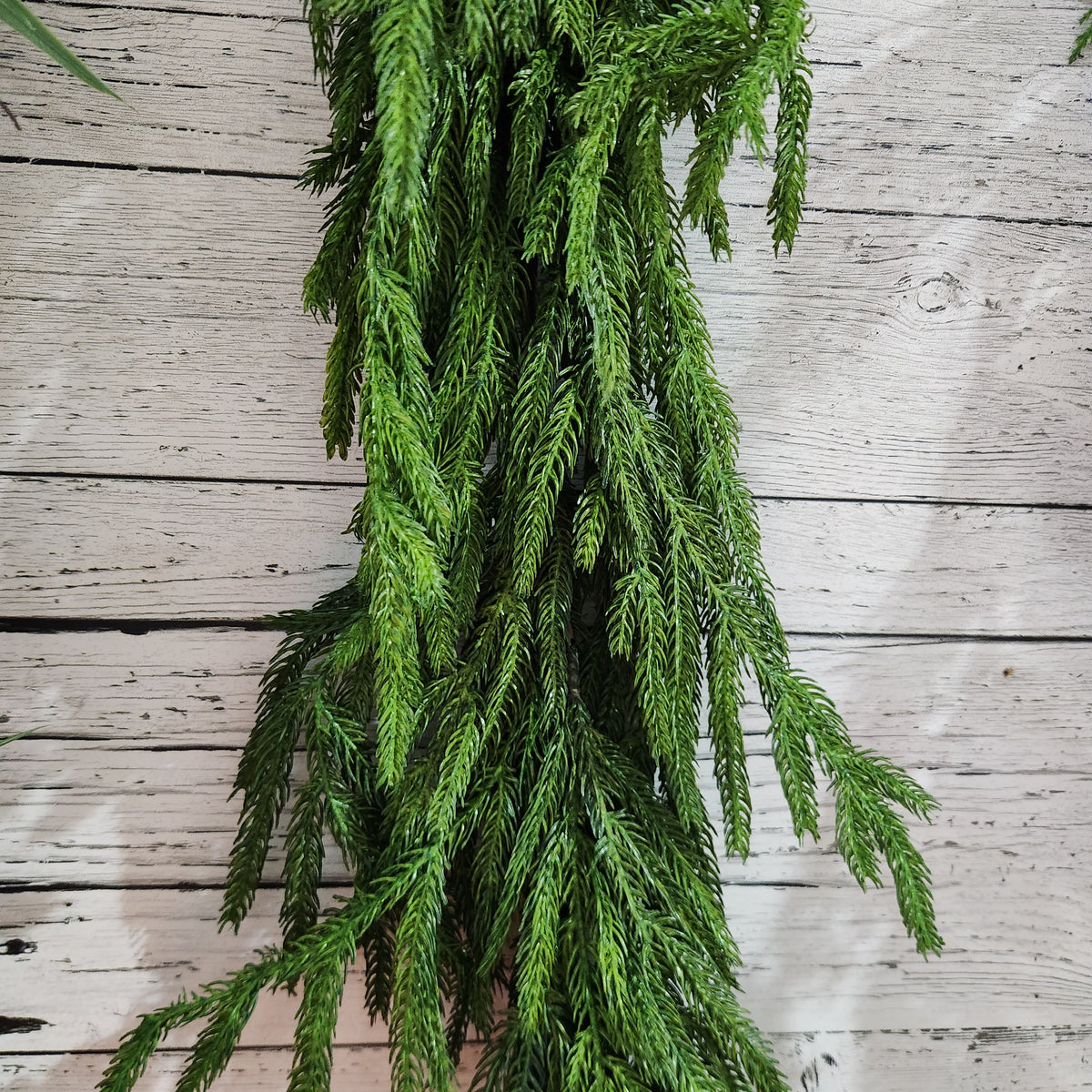 5' Green Norfolk Pine Garland