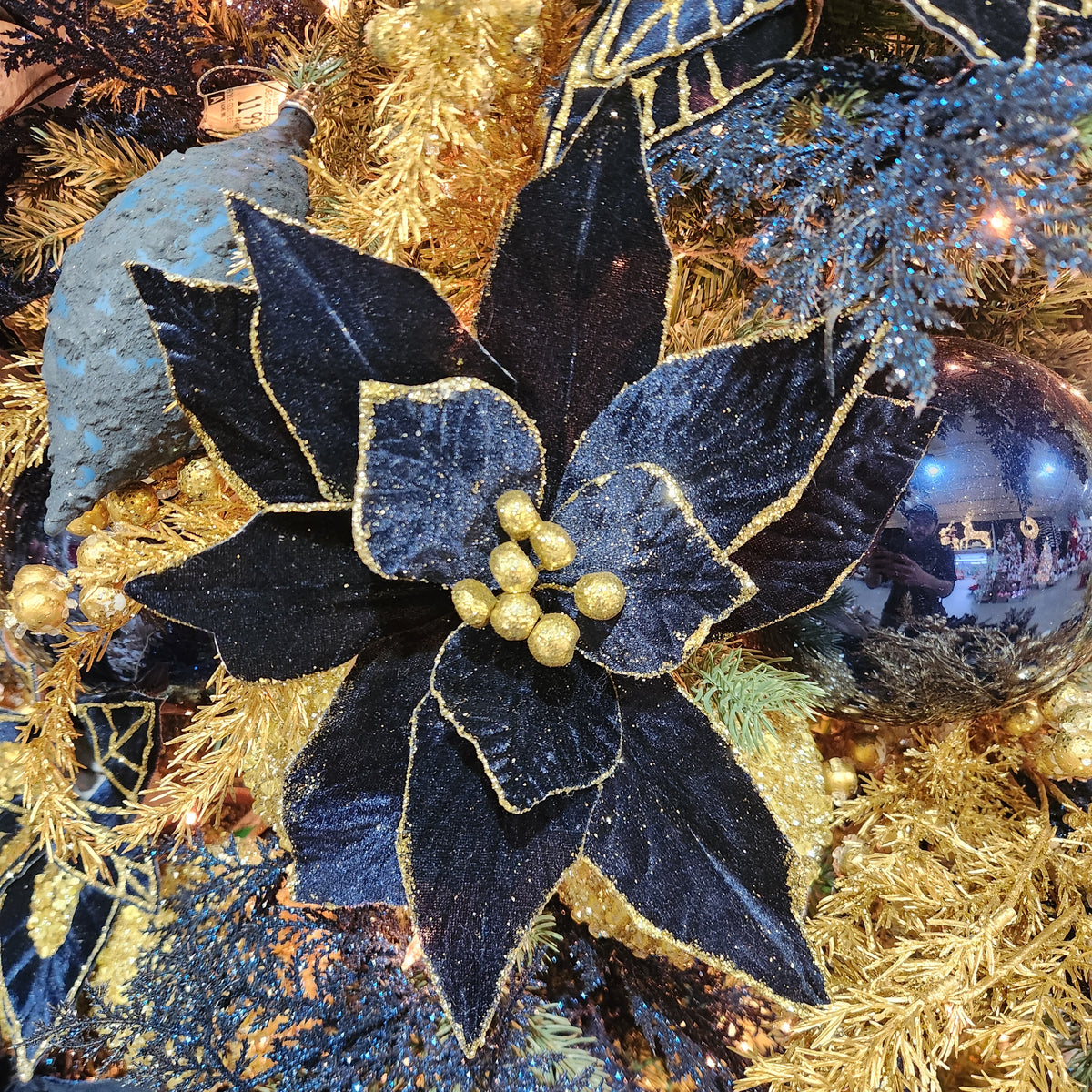 Midnight Blue and Gold Velvet Poinsettia 22"