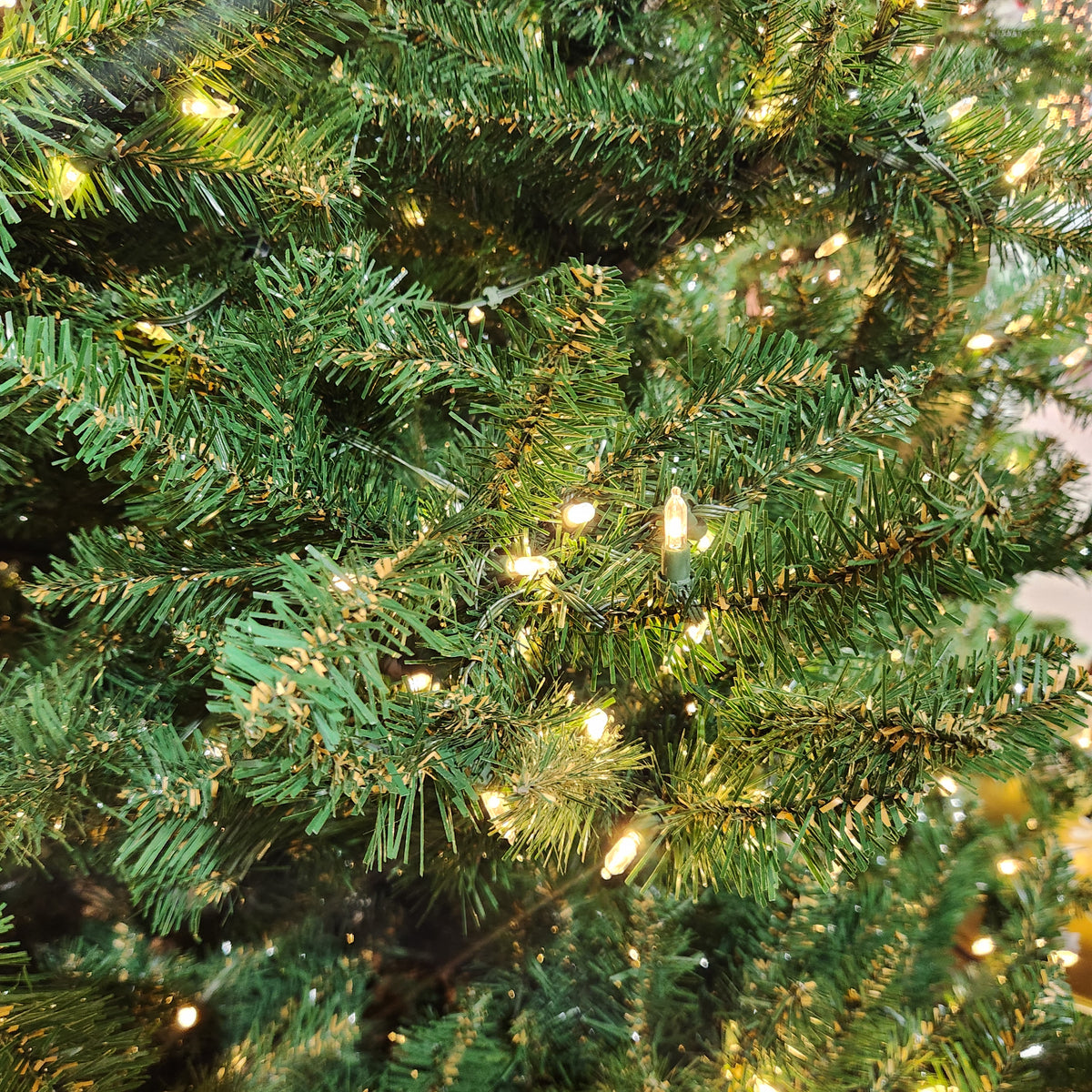 Arbre Pin de Genève avec 1000 lumières blanches 9'