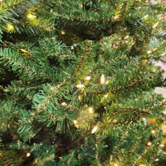 Arbre Pin de Genève avec 1000 lumières blanches 9'