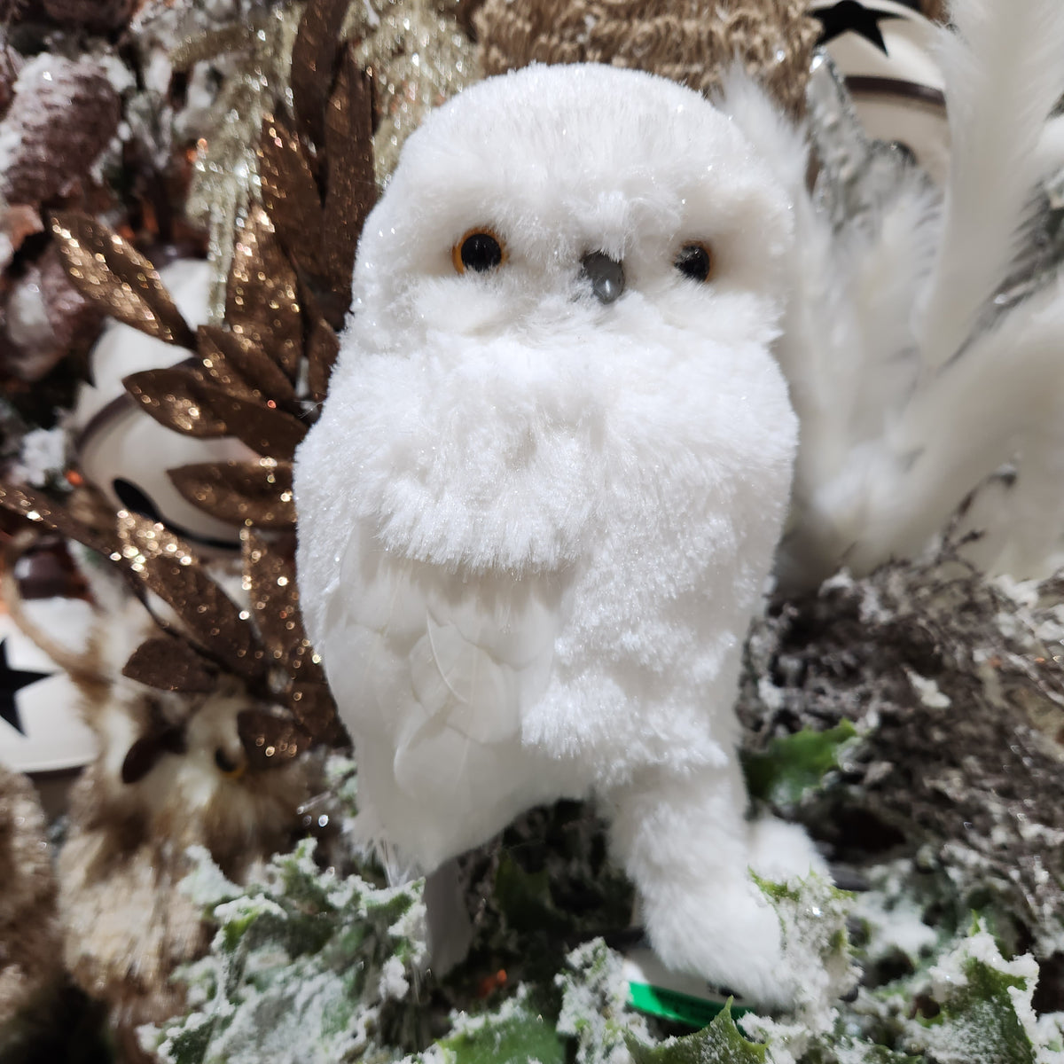 White Owl 8.75"