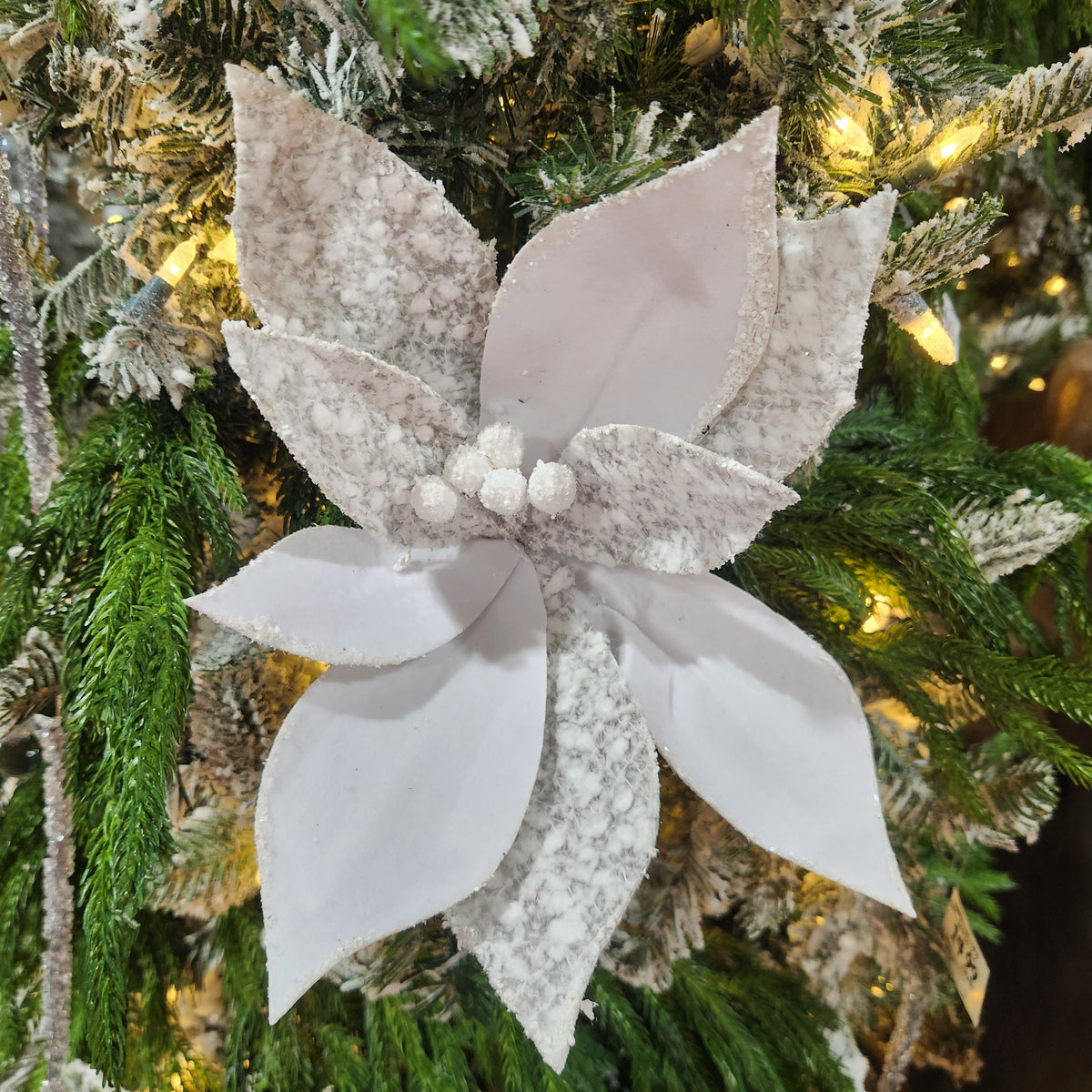 Tige de poinsettia blanc et gris 19"